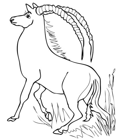 Sable Antelope Coloring Page